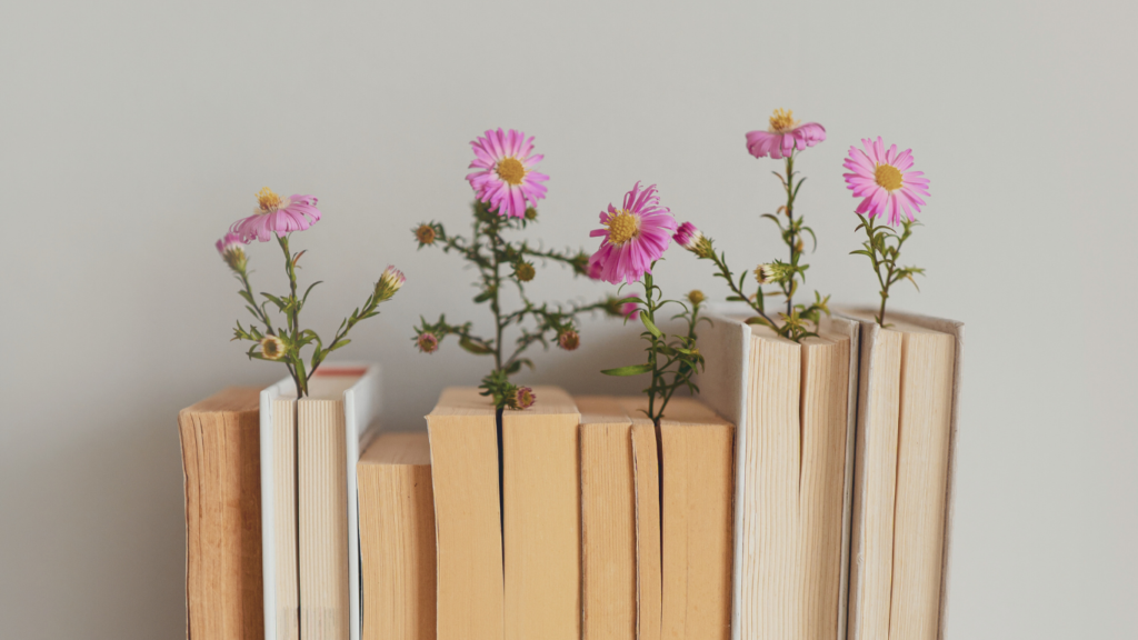 3 livros que transformaram a minha vida e mentalidade